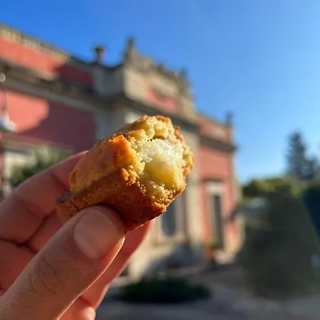 Bed & Breakfast Maggiulli Alfieri - Dimora Storica *
