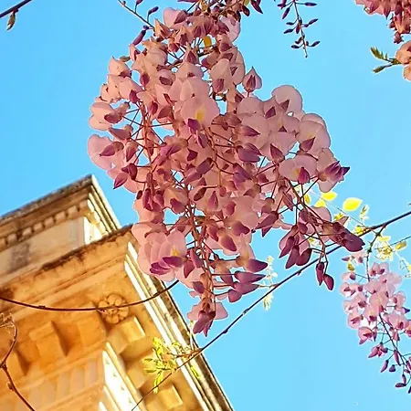 Maggiulli Alfieri - Dimora Storica Bed & Breakfast *